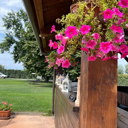 ホテル Cosmera 3*